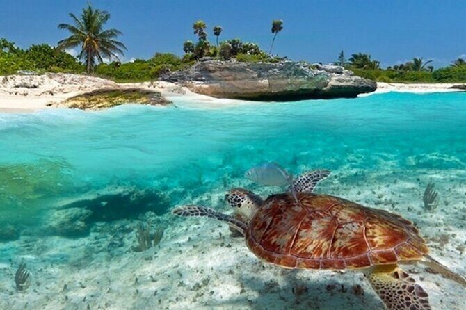 Super Zanzi, Nakupenda, Prison Island & Stone Town - Zanzibar - What’s on the Itinerary?