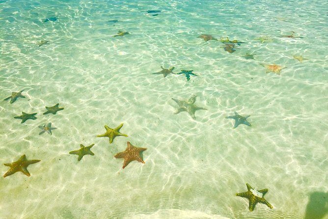 Super Zanzi, Nakupenda, Prison Island & Stone Town - Zanzibar - How Does It Value Compare?