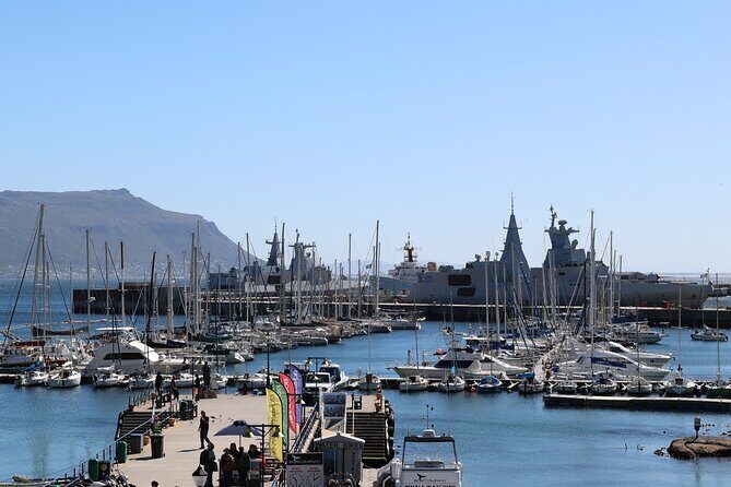 Supersaver: Cape of Good Hope and Cape Point Day Tour from Cape Town - Final Thoughts