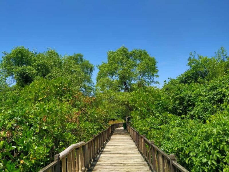 Surabaya: 1-Day City Tour - The Sum Up