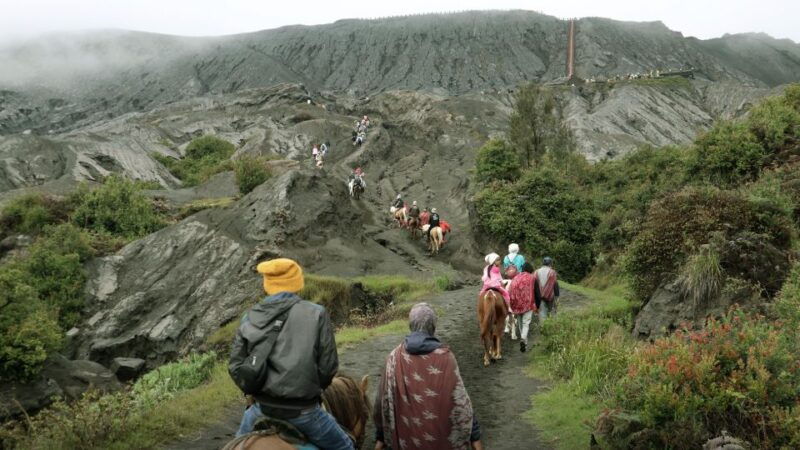 surabaya-malang-bromo-sunrise-ijen-bali-2-days-tour