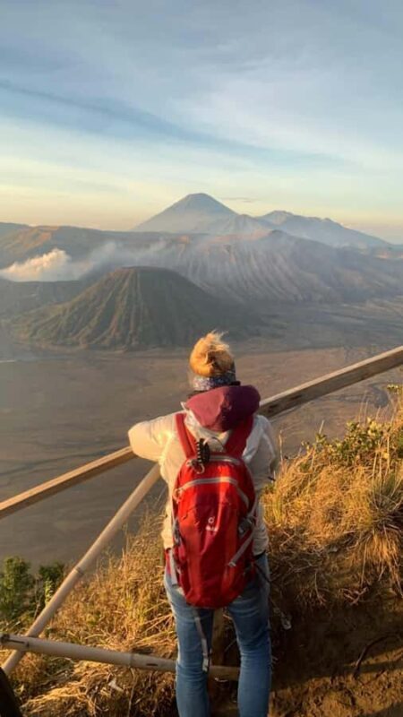 Surabaya/ Malang: Mount Bromo & Ijen Tour with Bali drop-off - Who is this tour perfect for?