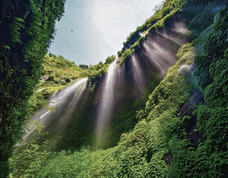 Surabaya: Mount Bromo National Park Private Full-Day Tour - The Sum Up