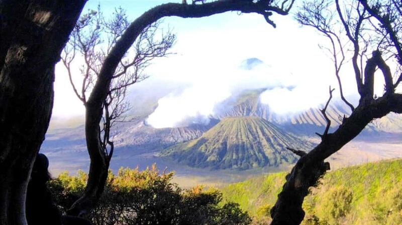 Surabaya or Malang : Bromo, Tumpaksewu waterfall in 2 days - Practical Tips for Travelers