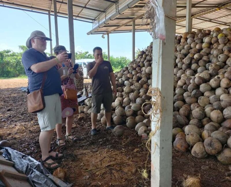 Surat Thani: Coastal Village Life Tour w/ Mangrove & Cooking - Who Is This Tour Best For?