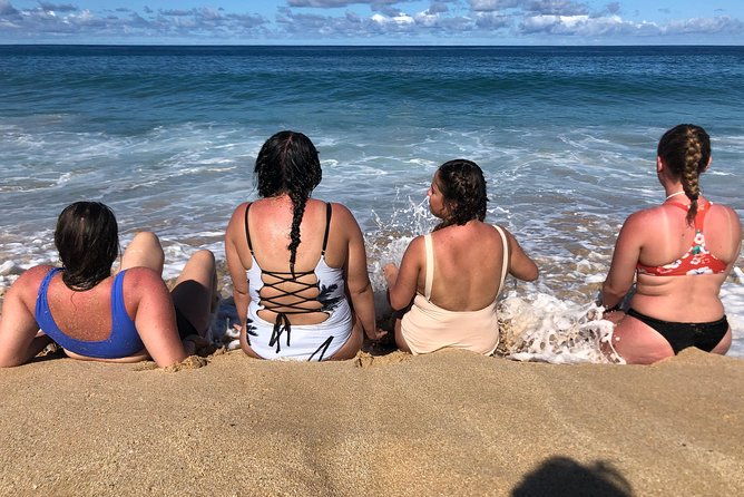 surf-and-seaturtles-oahu-tour