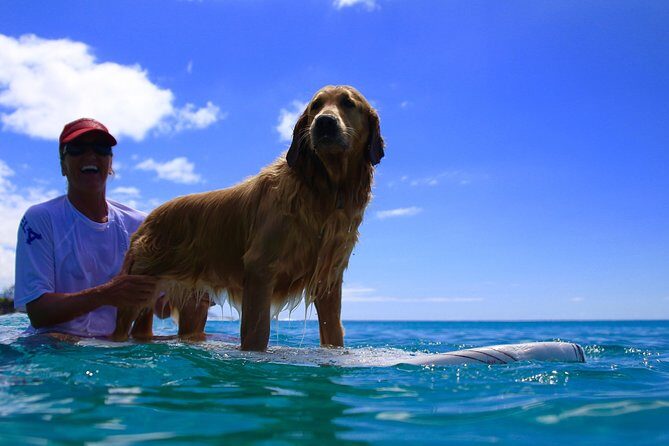 Surf Lessons on the North Shore of Oahu - Key Points  