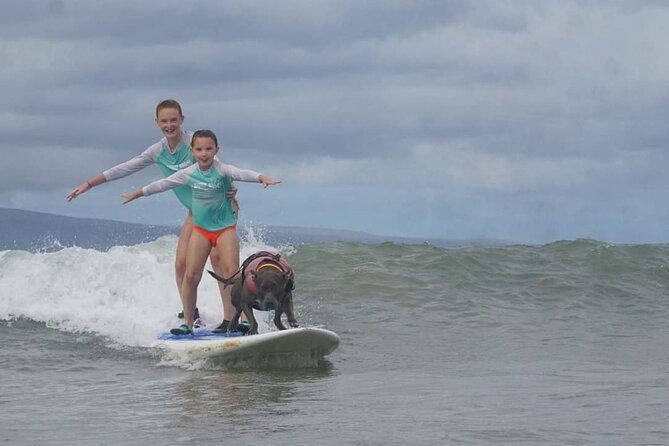 surf-with-a-service-animal-2