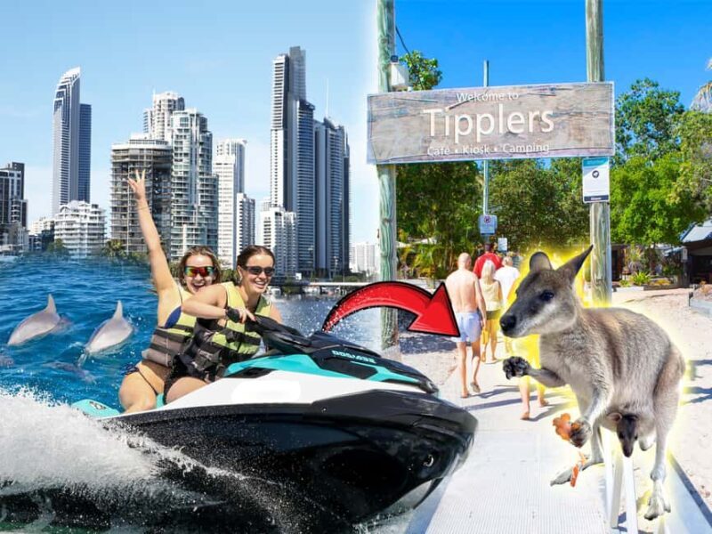 Surfers Paradise: 2 Hour Tropical Island Jet Ski Tour - Key Points
