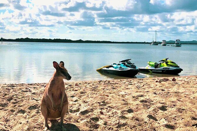 Surfers Paradise 30 Minute Jet Ski Tour - An In-Depth Look at the Surfers Paradise Jet Ski Experience