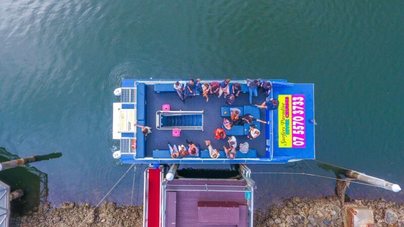 Surfers Paradise: Gold Coast Afternoon River Cruise - A Close Look at the Itinerary and Experience