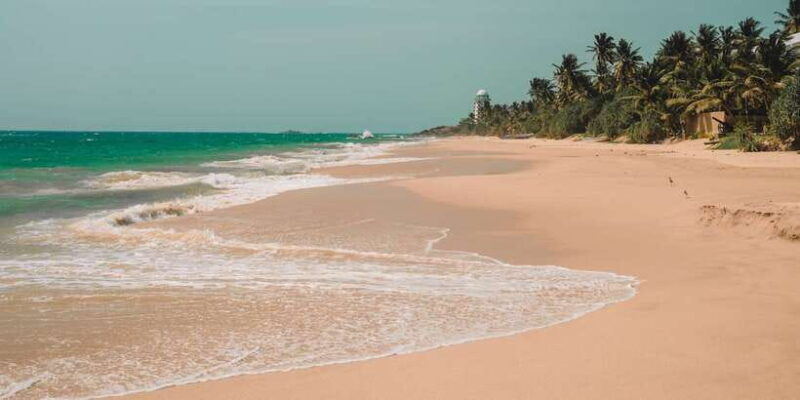 surfing-in-unawatuna
