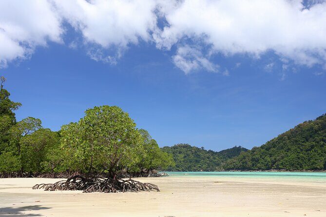 Surin Islands 2 Days 1 Night Trip from Phuket - FAQs