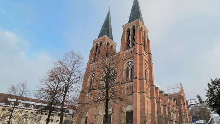 surprise-tour-of-bregenz-guided-by-a-local