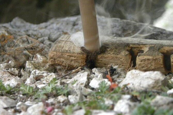 survival-and-bushcraft-courses