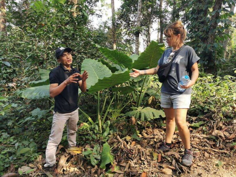 survival-course-in-the-primary-forest-near-luang-prabang
