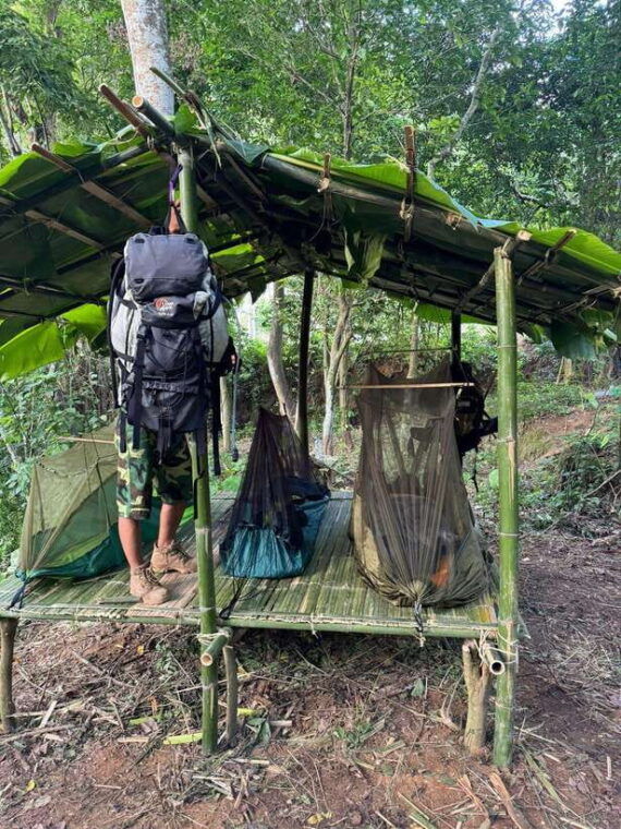 survival-course-in-the-primary-forest-near-luang-prabang