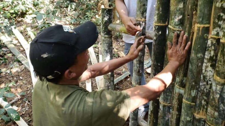 survival-course-in-the-primary-forest-near-luang-prabang