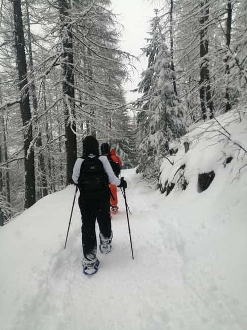 Susa Valley at dawn: snowshoeing in nature and silence - What to Expect from the Susa Valley Snowshoe Tour