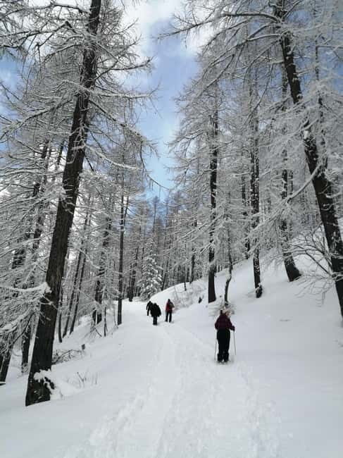 Susa Valley at dawn: snowshoeing in nature and silence - Inclusions and Practical Details