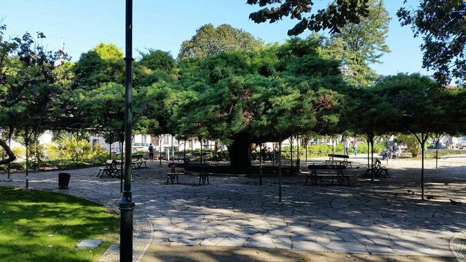 suspended-injury-queer-lisbon-a-treasure-hunt-in-lgbt-history