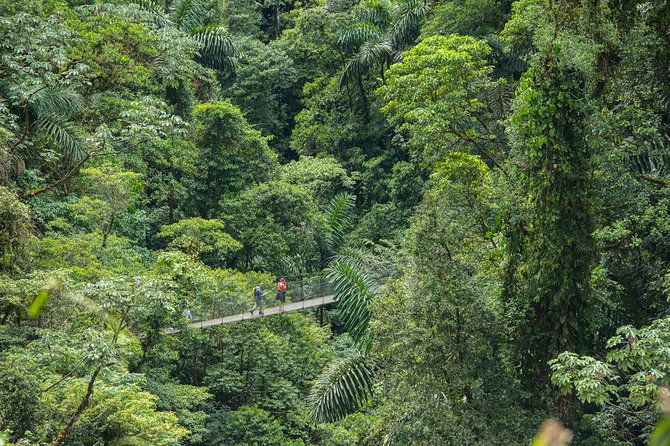 suspension-bridges-fortuna-waterfall-typical-lunch