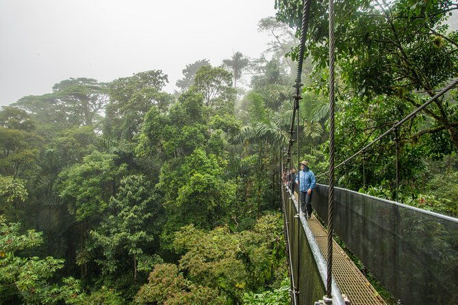 suspension-bridges-fortuna-waterfall-typical-lunch