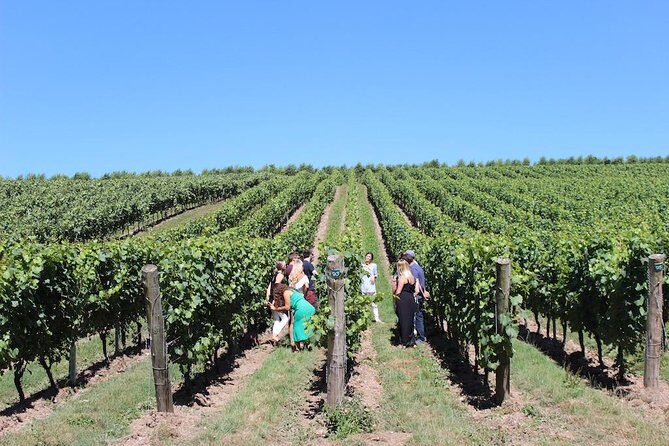 Sussex Vineyard & Winery Bus Tour on Iconic Vintage London Bus - Final Thoughts