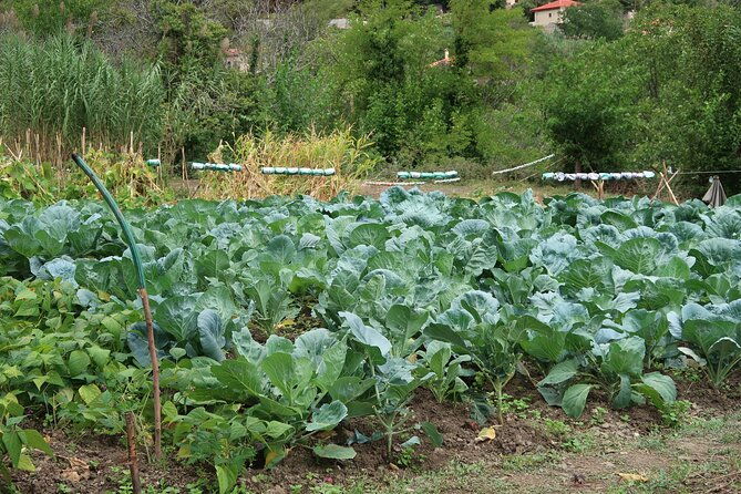 sustainbable-cooking-class-explore-a-mountainous-village