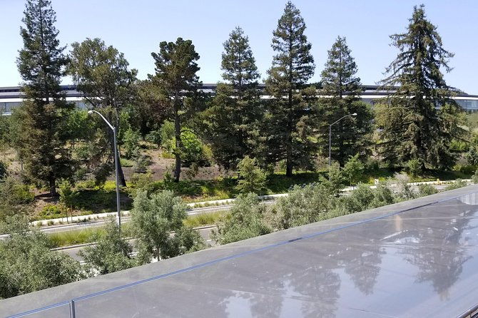 suv-tour-to-silicon-valley-including-stanford-walking-tour