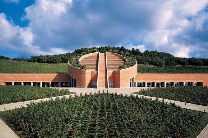 suvereto-wine-experience-private-tour-from-siena
