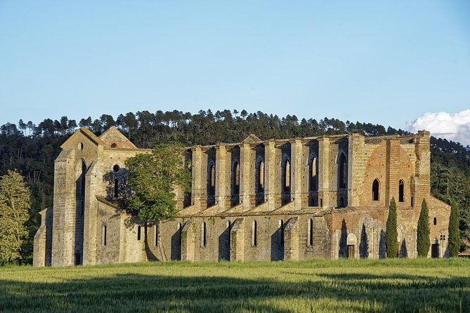 suvereto-wine-experience-private-tour-from-siena