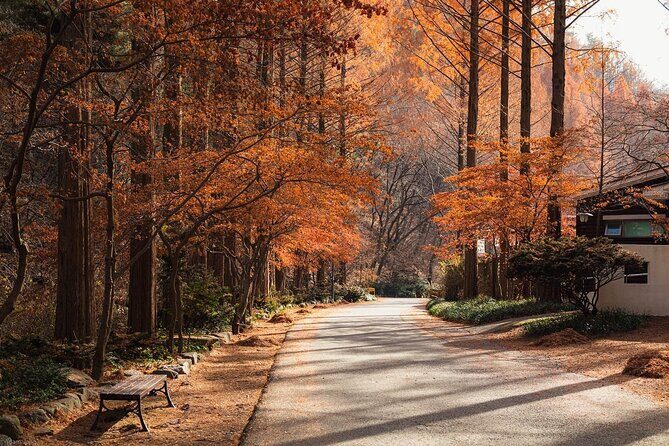 Suwon Hwaseong Fortress & Jangtaesan Full-Day Tour: Autumn Leaves - Key Points