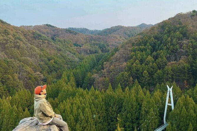 Suwon Hwaseong Fortress & Jangtaesan Full-Day Tour: Autumn Leaves - A Detailed Look at the Tour Experience