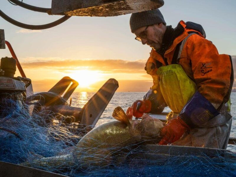 svolvaer-fishing-trip-on-the-lofoten-sea