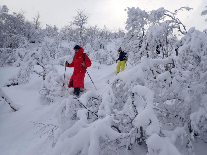 svolvaer-half-day-guided-snowshoeing-tour