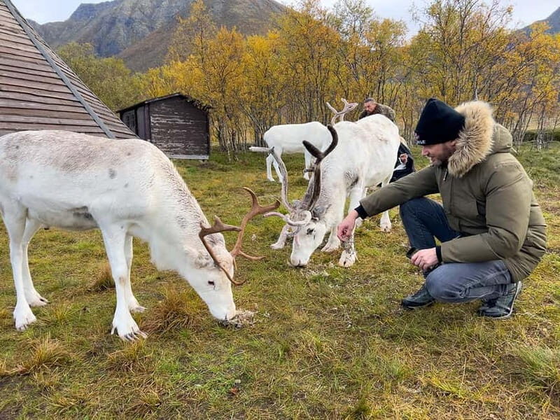 Svolvær: Sami Culture and Reindeer Experience - Authentic Insights from Past Travelers