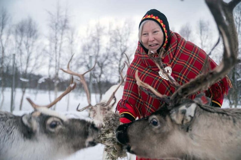Svolvær: Sami Culture and Reindeer Experience - Who This Tour Is Best For