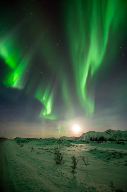 svolvaer-ultimate-aurora-hunt