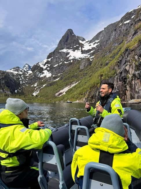 Svolvær: White-Tailed Eagle Safari with professional RIB - Key Points