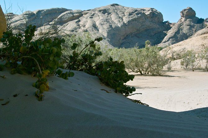 Swakop River Valley & Spitzkoppe Full Day 4x4 tour from Walvis Bay - An In-Depth Look at the Tour Experience