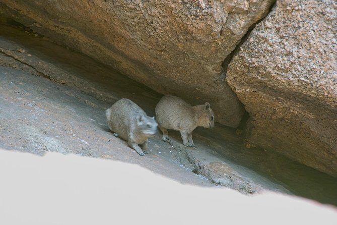 Swakop River Valley & Spitzkoppe Full Day 4x4 tour from Walvis Bay - Who Will Love This Tour?