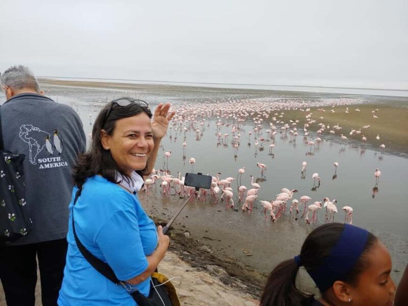 swakopmund city tour dune 7 pink lake pink flamingos - Value for Money