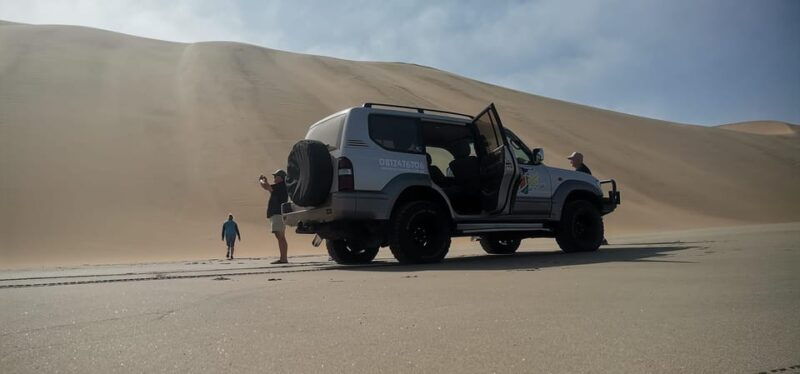 swakopmund-city-tour-dune-7-pink-lake-pink-flamingos