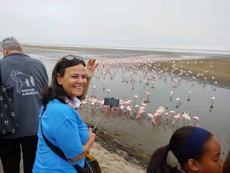 swakopmund-city-tour-dune-7-pink-lake-pink-flamingos