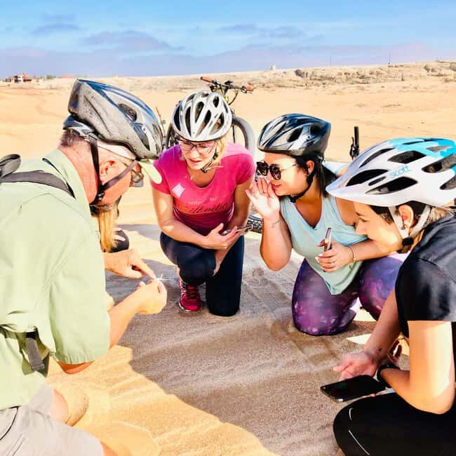 Swakopmund: "UP CLOSE" Living Desert E-FatBike Tour - Discovering Namibia’s Living Desert on E-fatbikes