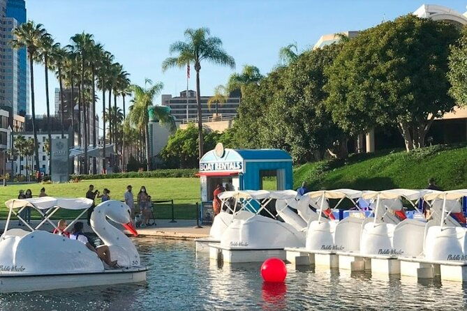 swan-boat-rental-at-rainbow-lagoon