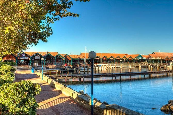 Swan River Scenic Cruise - The Value for Money