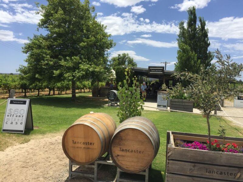Swan Valley: Full-Day Wine Tour with Lunch - What You Can Expect from This Swan Valley Tour