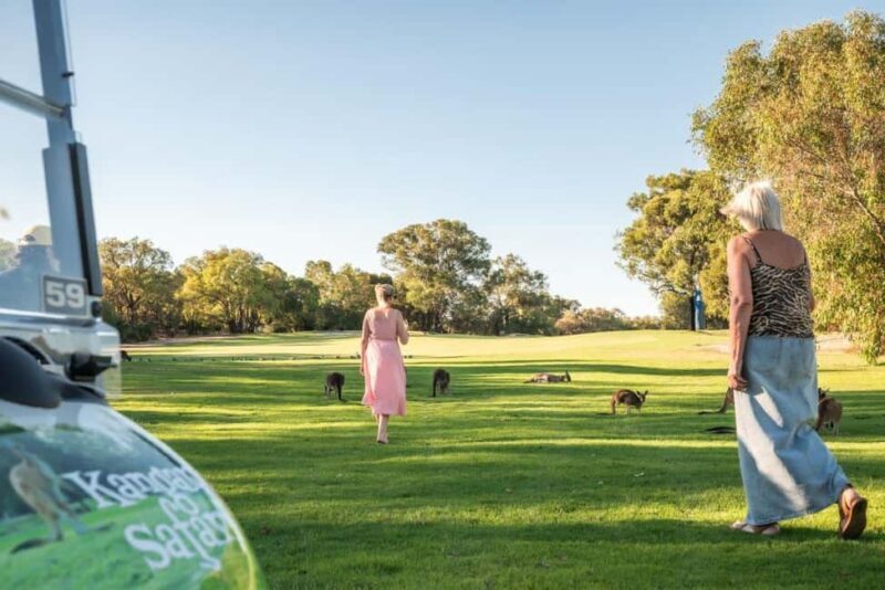 Swan Valley: Golf Cart Kangaroo Safari w/ Mini Golf & Drink - Why You Should Consider This Tour